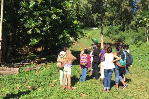 Kohala Middle School peer mediators visit the HIPAg farm and learning center in North Kohala as part of their community education and leadership training. 